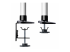 StarTech.com Monitor Desk Mount, VESA 75x75/100x100, 27/30-inch Screens - Nærbilde